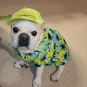 Meet your Posher, Melissa powell